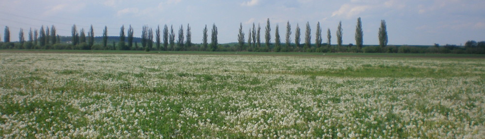 Slunečno, květen